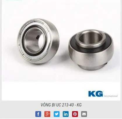 VÒNG BI UC 213 40   KG