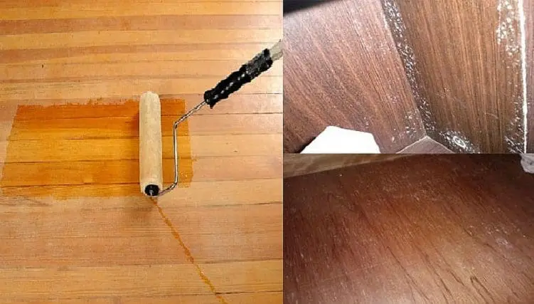 Các nguyên nhân gỗ bị mốc? Cách xử lý gỗ bị mốc tại nhà