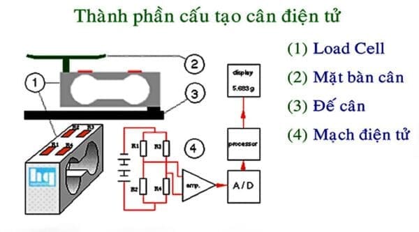 Cấu tạo của cân