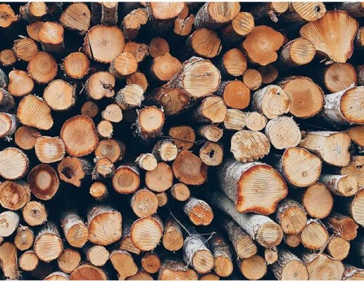 Đặc điểm chung của gỗ