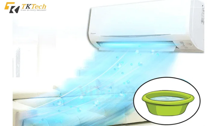 Đặt chậu nước trong phòng