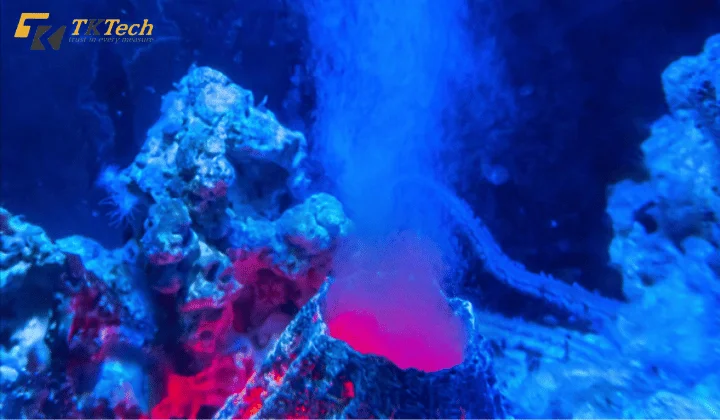 Độ mặn của nước biển là gì và tại sao bạn nên quan tâm? Hoạt động núi lửa dưới đáy biển cung cấp khoáng chất