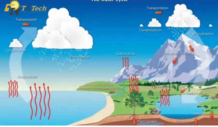 Độ mặn của nước biển là gì và tại sao bạn nên quan tâm? Quá trình bay hơi làm cô đặc muối