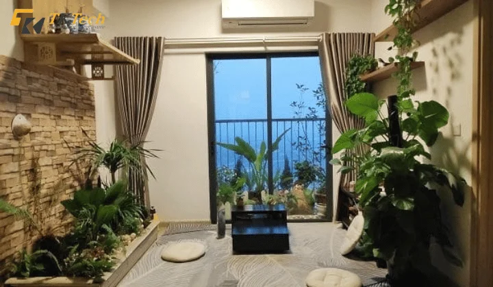 Trồng cây cảnh trong nhà