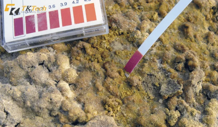 Dùng bộ test đơn giản hoặc giấy quỳ tím