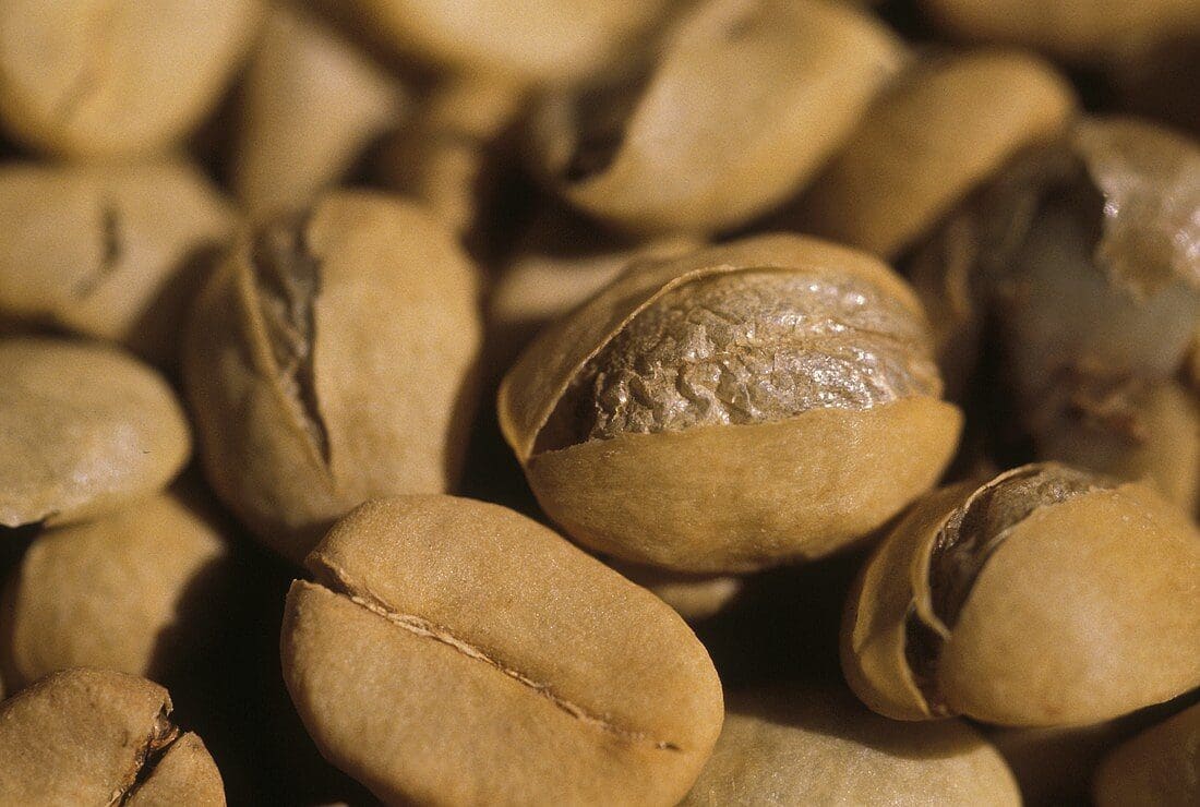 Độ ẩm an toàn của cà phê thóc là bao nhiêu