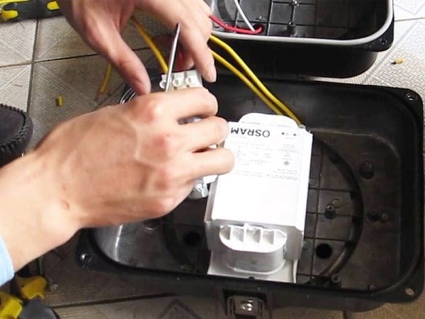 Hoạt động kiểm tra tăng phô