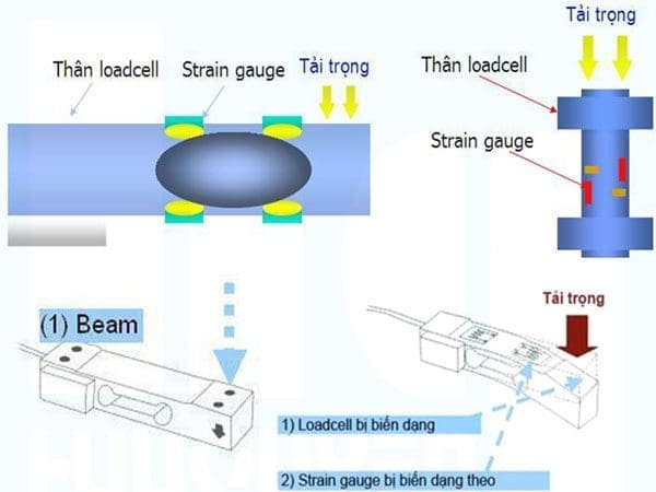 Cau-tao-cua-cam-bien-loadcell