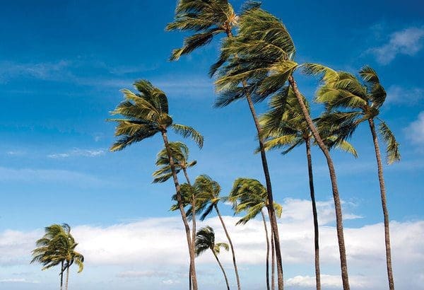 Suc-gio-duoc-hieu-là-toc-do-di-chuyen-cua-gio