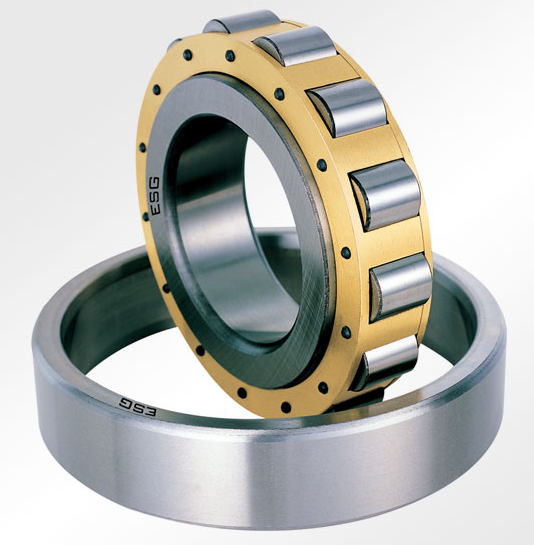 Tim-hieu-ve-o-dua-con