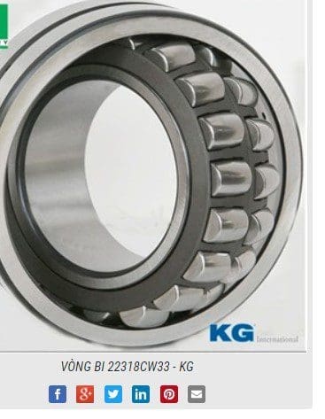 VÒNG BI 22318CW33   KG