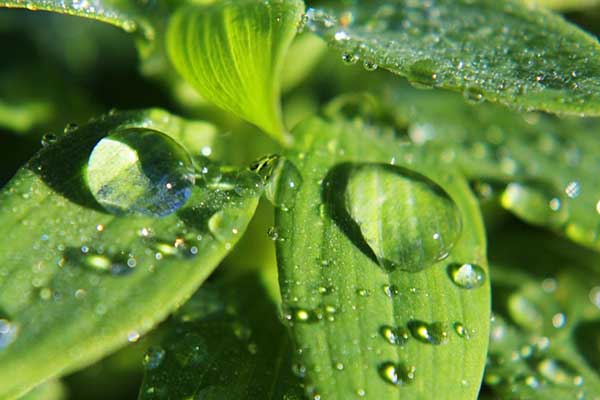 Do-am-la-%-hoi-nuoc-co-trong-khong-khi