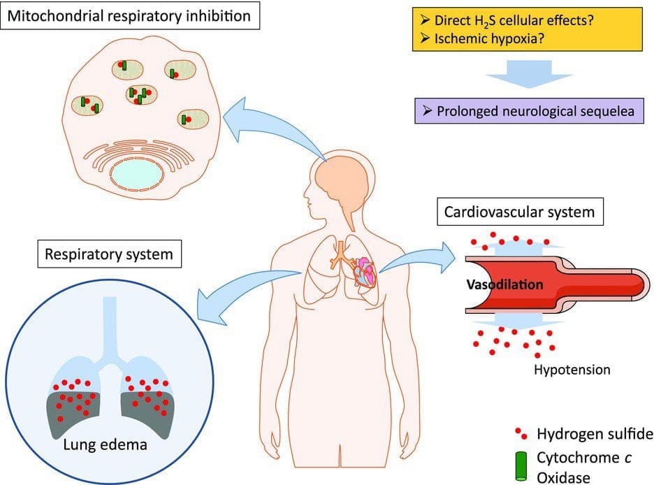 Nhung-tac-dong-cua-H2S-den-suc-khoe-con-nguoi