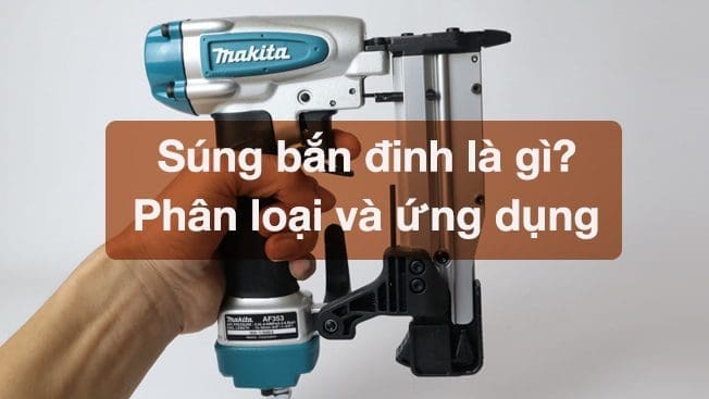 Tim-hieu-ve-sung-ban-dinh-vit