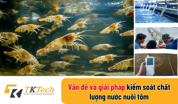 thum bnail kiem soat chat luong nuoc nuoi tom