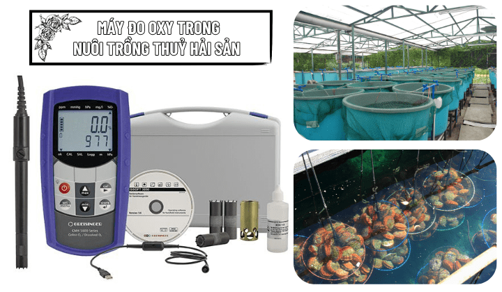 Chọn máy đo oxy trong thuỷ sản nào tốt nhất?