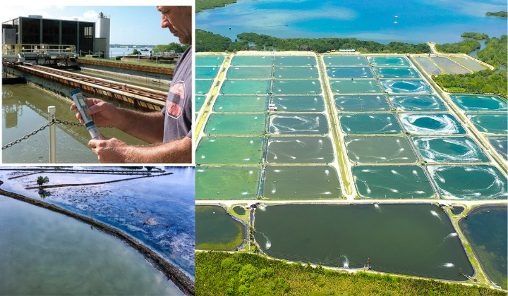 duy tri moi truong song ly tuong cho thuy hai san