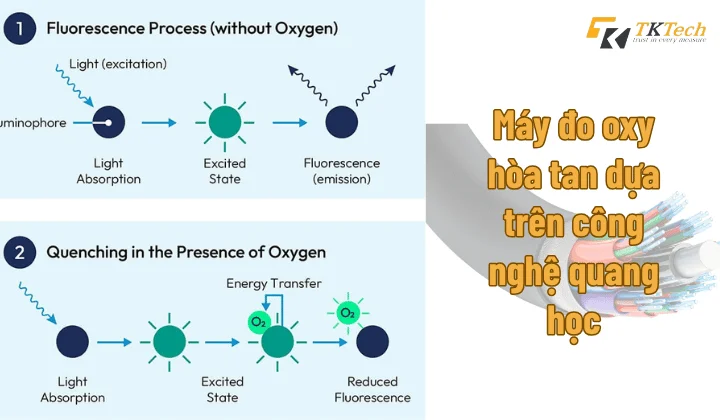 Máy đo oxy hòa tan dựa trên công nghệ quang học