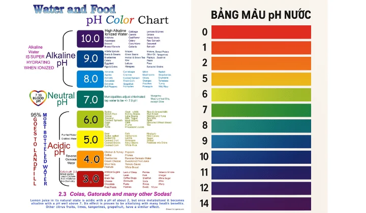 Thang màu pH tiêu chuẩn từ đỏ (axit mạnh) đến tím (kiềm mạnh)