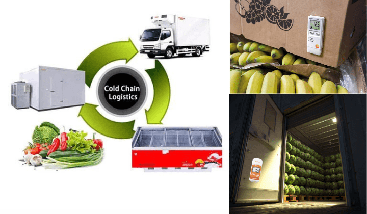 Chọn vị trí đặt nhiệt kế tự ghi thích hợp thiet lap vi tri dat nhiet ke tu ghi