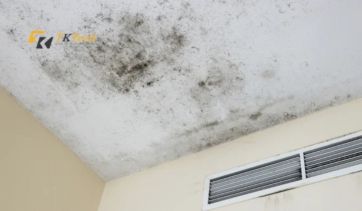Khi độ ẩm cao dẫn đến tình trạng mốc