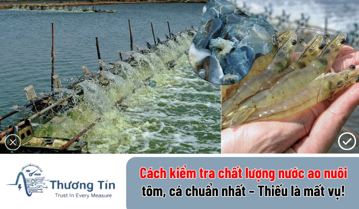 Cách kiểm tra chất lượng nước ao nuôi