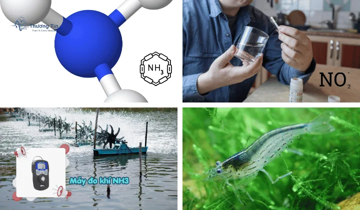 Cách kiểm tra chất lượng nước ao nuôi tôm, cá chuẩn nhất – Thiếu là mất vụ! Sử dụng máy đo để xác định nồng độ NH3 và NO2 trong nước ao nuôi
