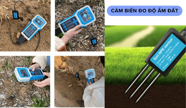 Cảm biến và máy đo độ ẩm đất Cảm biến và máy đo độ ẩm đất