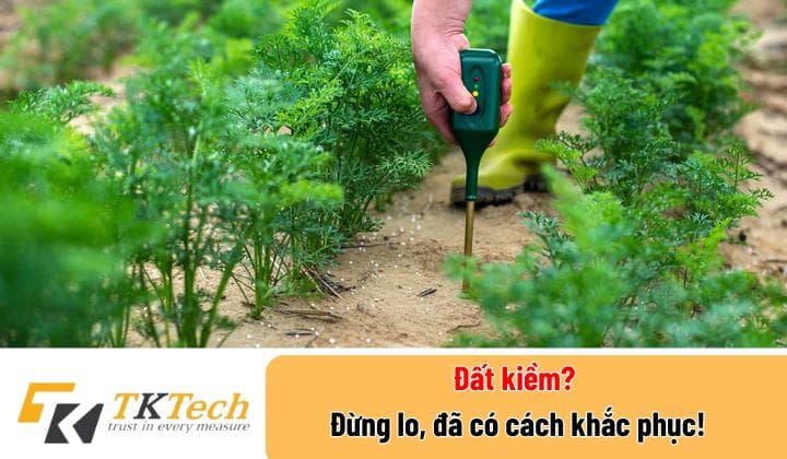 cach-lam-giam-do-kiem-cua-dat