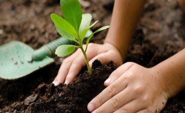 Vì sao cần tìm cách kiểm tra độ ẩm của đất trong nông nghiệp?