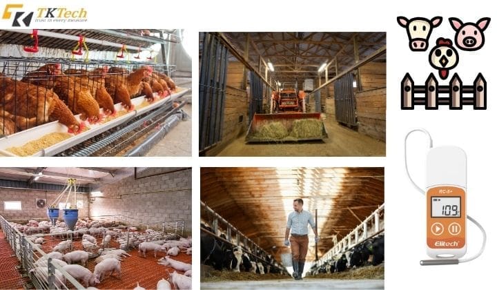 giam sat nhiet do trong chan nuoi 3