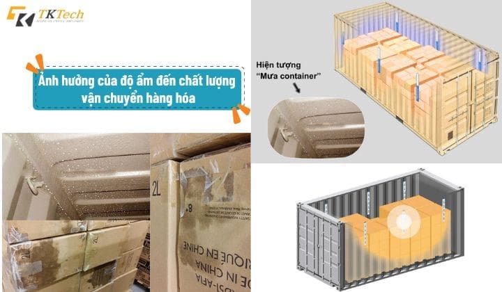 Hàng hoá bị ảnh hưởng nghiêm trọng do độ ẩm hang hoa bi anh huong nghiem trong do do am