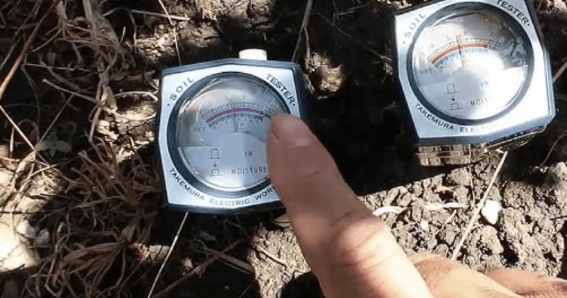 Bạn nên lựa chọn cách kiểm tra độ ẩm của đất phù hợp