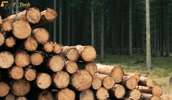 Kiểm tra độ ẩm gỗ trước khi sử dụng rất quan trọng kiem tra do am san go 1