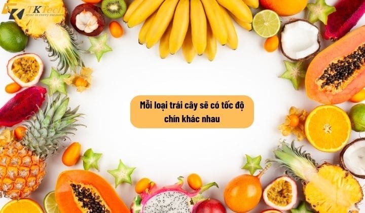 may theo doi nhiet do do am 2