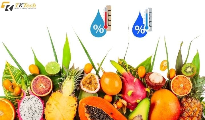 may theo doi nhiet do do am 3