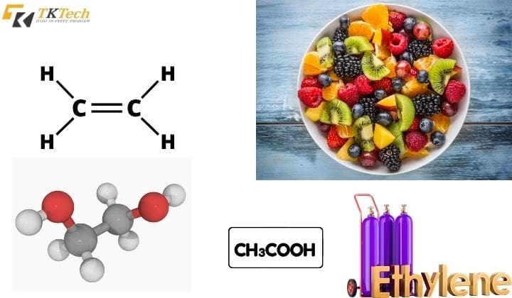 may theo doi nhiet do do am 4