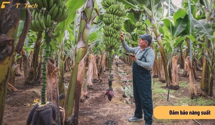 may theo doi nhiet do do am 6