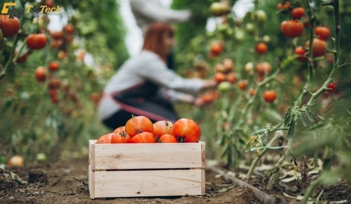 may theo doi nhiet do do am 7