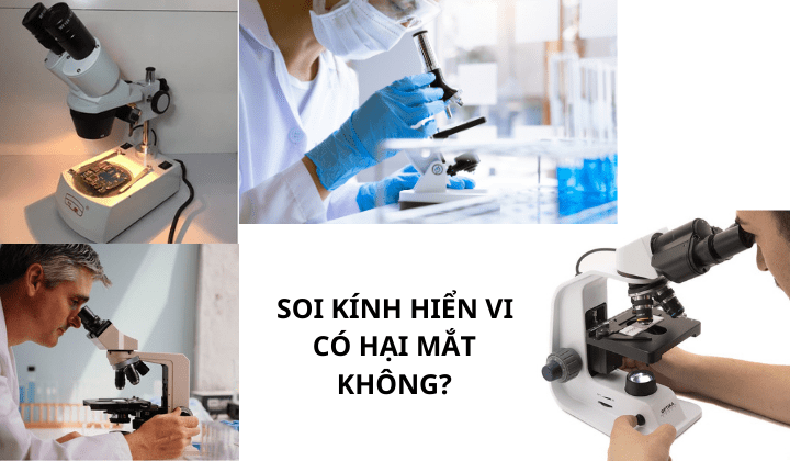 soi kịnh co hai mat khong 2