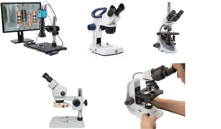 soi kịnh co hai mat khong 3